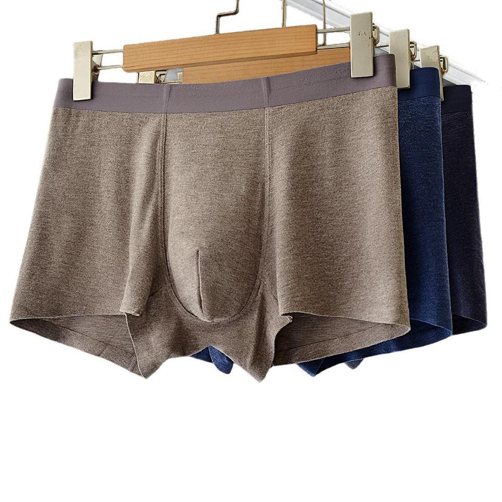 Men's Seamless Acrylic Brushed Mulberry Silk Antibacterial Trunk for Autumn and Winter