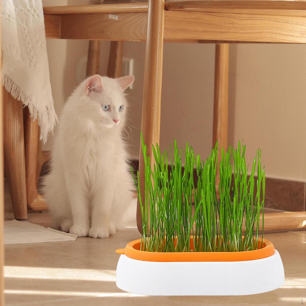 Cat Grass Growing Tray - Eco-Friendly Nursery Solution for Microgreens