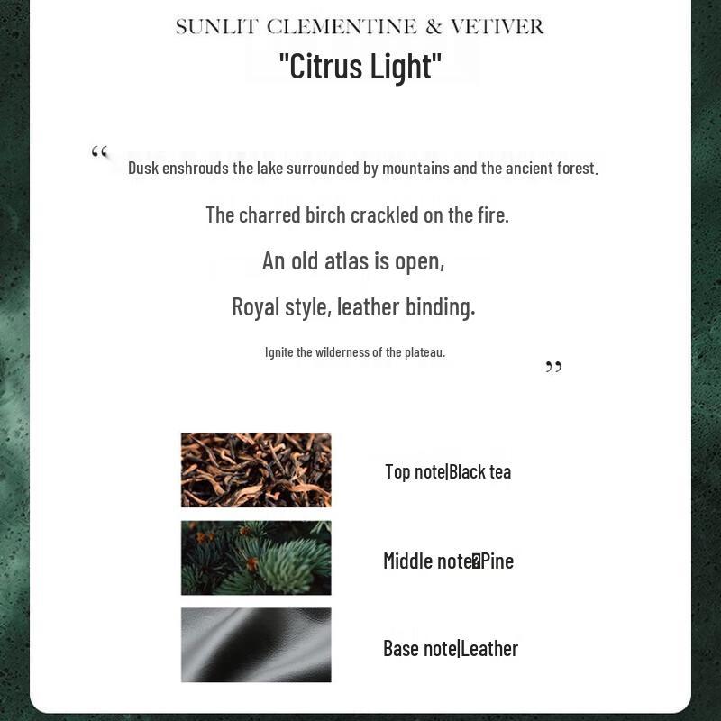 Molton Brown Dark Leather Shower Gel Twin Pack