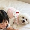 Ruffled Collar Puppy T-Shirt Breathable Pet Outfits Sweet Style Dog Lace Vest  For Small Dogs