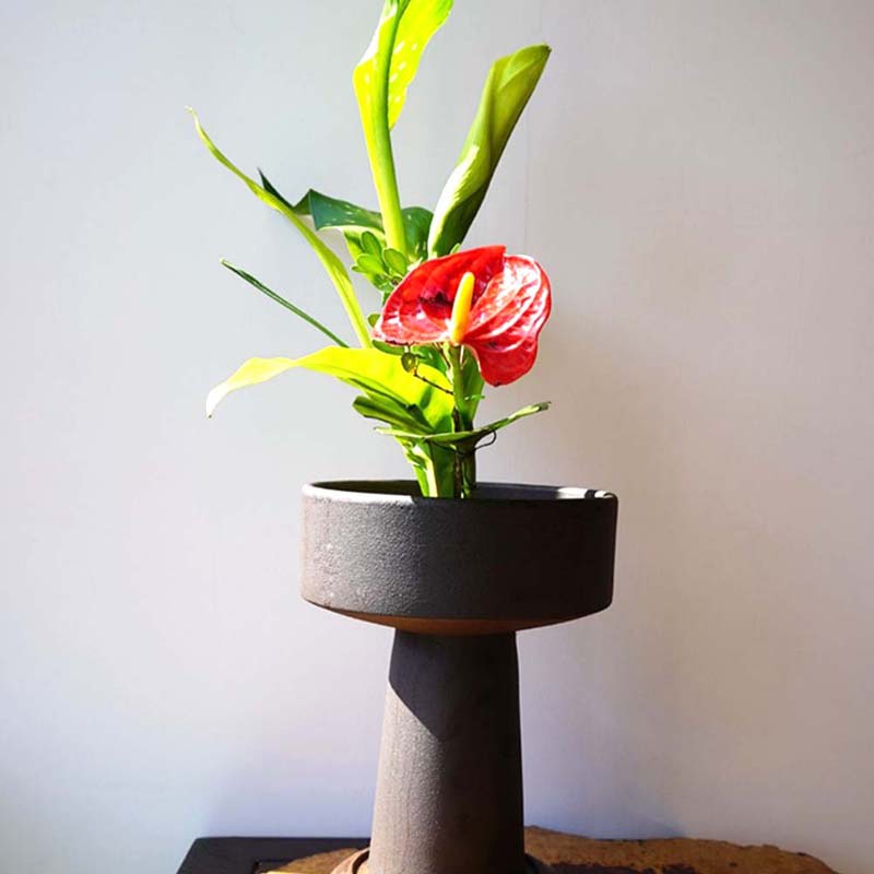 Kenzan Rotund pentru Ikebana, Broscuță de Flori cu Garnitură de Cauciuc, Instrument Fix pentru Aranjamente Florale