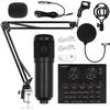BM800 Condenser Microphone Microphone Net Red Anchor Computer Recording Bracket Large Diaphragm Live Broadcast Set BM800 Full Plastic Single Wheat