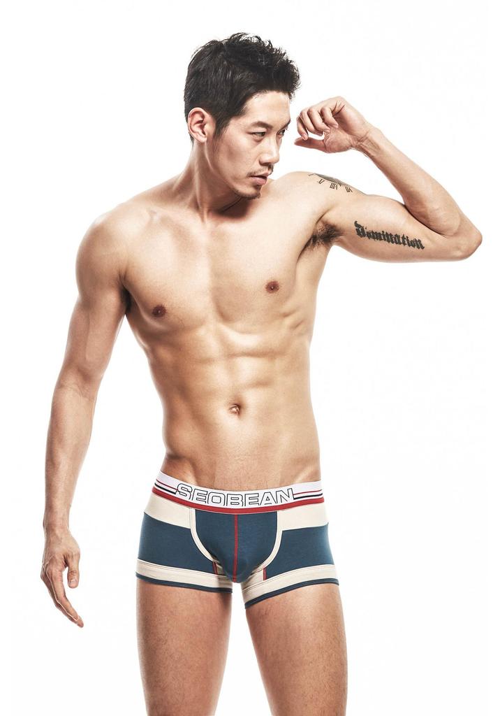 Xibin Men's Youth Low-Rise Cotton Boxer Briefs - Sexy, Breathable, Fashionable Summer Underwear with U-Pouch Design.
