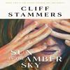 Sun In the Amber Sky by Cliff Stammers Paperback Book 9781803782614