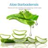 LANBENA Mitesserentferner Peel-Off-Maske Aloe-Vera-Extrakt Ölkontrolle Nasenmaske mit 180 Stück Reinigt für Tiefenreinigung Feuchtigkeitsspendend