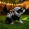 Elastic Dinosaur Suit for Walking Skeleton Pet Costume, Plush Dog Cat Outfit with 3D Lightweight Prop Photos Spine And Tail, Halloween Party
