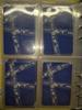 SEVENTEEN Nana Tour Photocards (Bulk Purchase) Used
