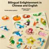 Shape Matching Wooden Puzzle Toys Cartoon Animals Fruits 3D Puzzles  Children