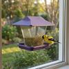 Leak-Proof Automatic Hummingbird Feeder Large Capacity Bird Feeding Station  Bird Supplies