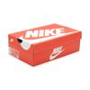 DH4401-101 Nike Dunk Low Essential Paisley Pack Oțel Uzat Albastru Alb (Femei)