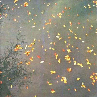 CD VARIOUS - Enjoy the Silence 1  Muleelectronicc Mule Electronic 2009 Europe Dance & Electronica Used