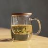 Sohome Double-Layer Tea Infuser Glass Bottle