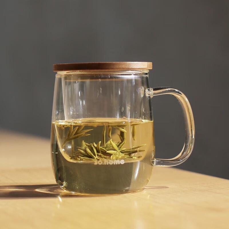 Sohome Double-Layer Tea Infuser Glass Bottle