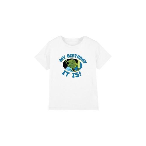 Star Wars Childrens/Kids My Birthday It Is T-Shirt