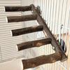 Bird Perch Ladder Wood Stand Cage Toy for Nail Grinding, Chewing for Parakeets