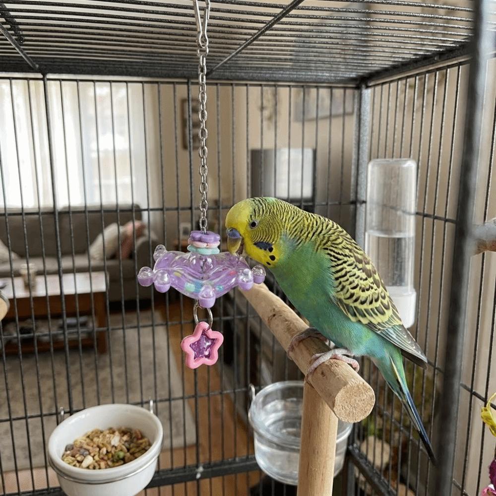 Rotating Hanging Foraging Ball Plastic Detachable Parrots Chew Swing with Bell Bite Resistant Bird Cage Toy Pet Entertainment