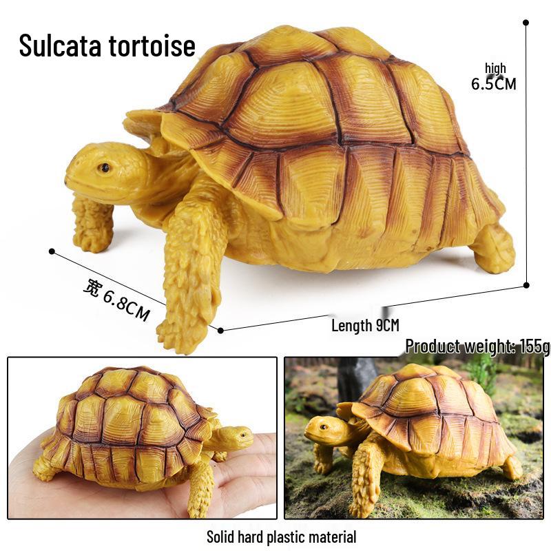 Cross-Border Children's Cognitive Amphibian & Reptile Tortoise Model Fish Tank Ornament Toy