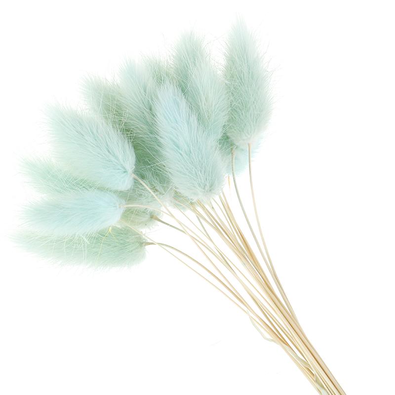20pcs Colorful Artificial Dried Flowers Rabbit Tail Grass Bouquet Long Bunches 20pcs Colorful Artificial Dried Flowers Rabbit Tail Grass Bouquet Long Bunches