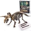 DIY Dinosaur Fossil Excavation Kit for Kids - Blind Box Archaeological Toy Set