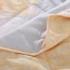 Hengyuanxiang Floral Print Summer Quilt