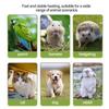 Riscaldatore Gabbia Conservazione Pappagallo Animale Domestico Lampada Riscaldante Anti-morso Anti-scottatura Rettile Luci Calde Accessori Forniture per Uccelli 220V
