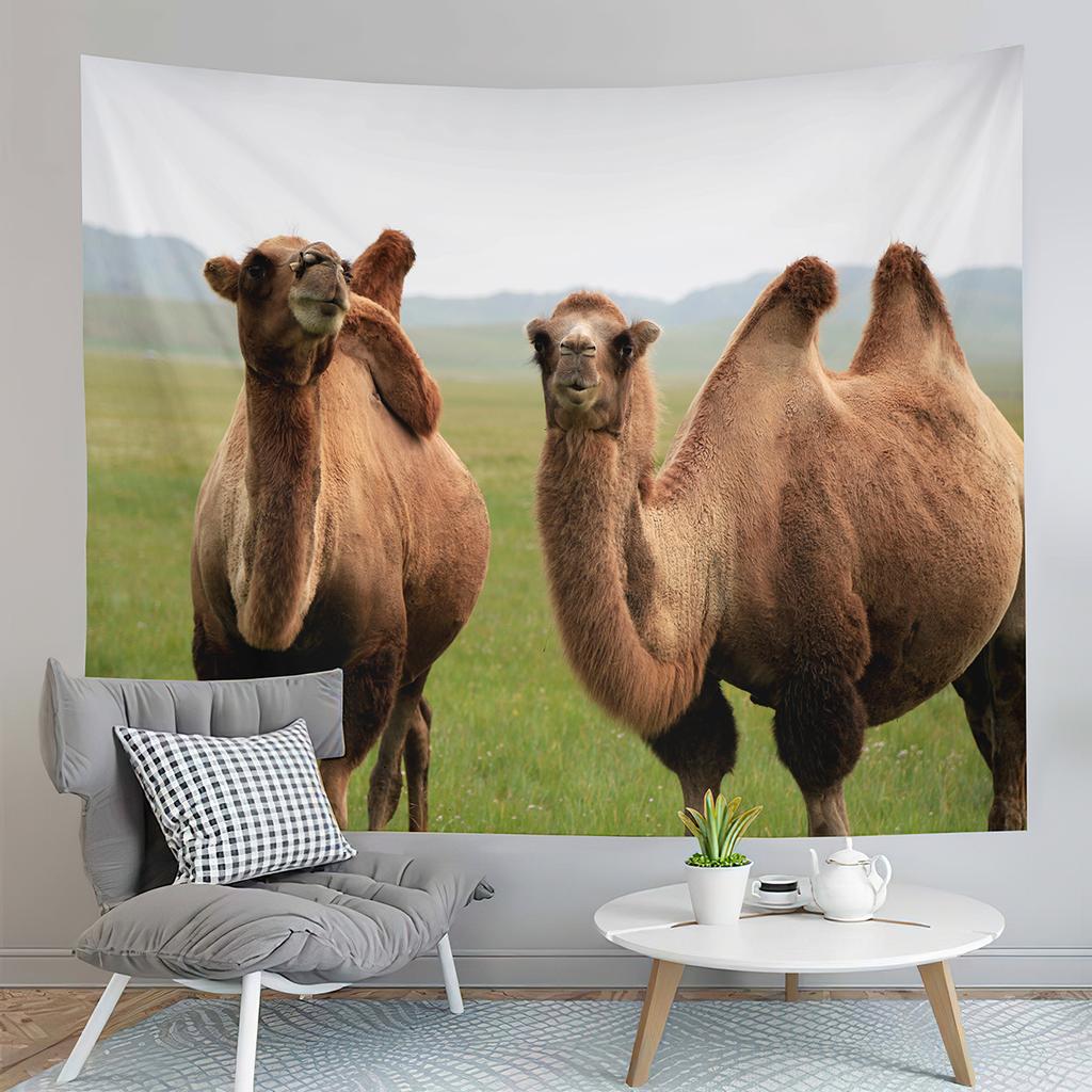 Animal Camel Tapestry Sunset Scenery Tapestry Desert Sunset Tapestry Home Living Room Bedroom Aesthetics Decoration Tapestries