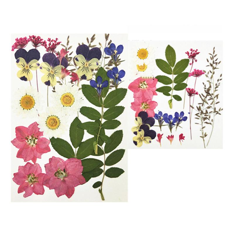 4 Inch 6 Inch Diy Glass Photo Frame Handmade Creative Simple Dried Flower Picture Frame Minimalist