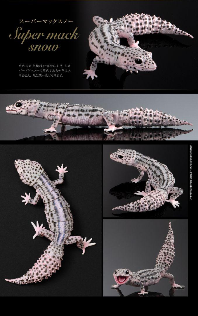 

[USED] Advanced Living Creature Encyclopedia: Leopard Gecko