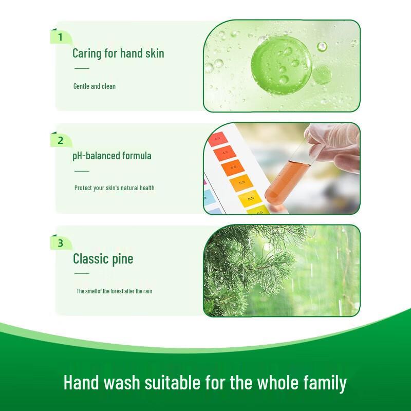 Dettol Antibacterial Hand Wash Set (Moisturizing & Pine)