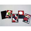 Nintendo Hanafuda President Black instruction manual