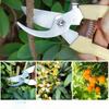 Pruning Shears, Garden Shears, Grape Shears, Branch Shears, Fruit Shears, Tree Garden Shears, Flower Art Shears, Flower Trimming Shears