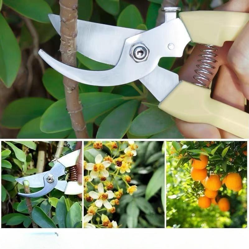 Pruning Shears, Garden Shears, Grape Shears, Branch Shears, Fruit Shears, Tree Garden Shears, Flower Art Shears, Flower Trimming Shears