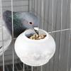 Hook-On Birds Feeder Drinker Pigeon Parrot Cage Hanging Food Feeding Bowl Clamp-on Cage-Mounted Dove Food Dish/Cup Waterer