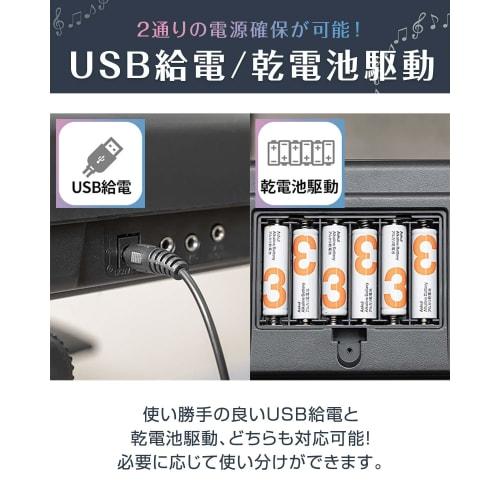 RiZKiZ Electronic Keyboard, Digital Piano, 61 Keys, Synthesizer, USB Powered, Battery Operated, Portable, Compact, Beginner-Friendly, Practice Mode, L