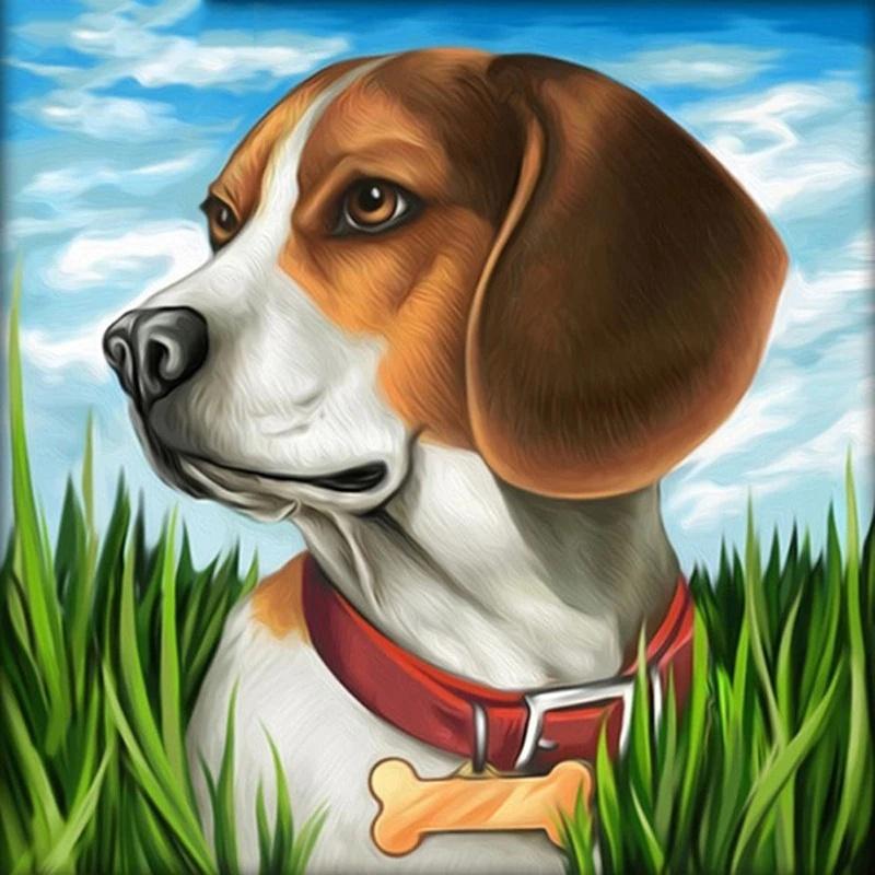 Diamond Painting Cross Animal Full Square Round Drill Diamond Embroidery Dog Diamond Mosaic Needlework Wall Art