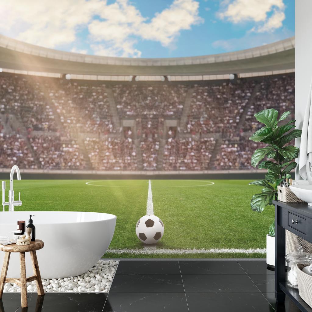 Photomural Soccer Stadium Structural Vinyl 450x300