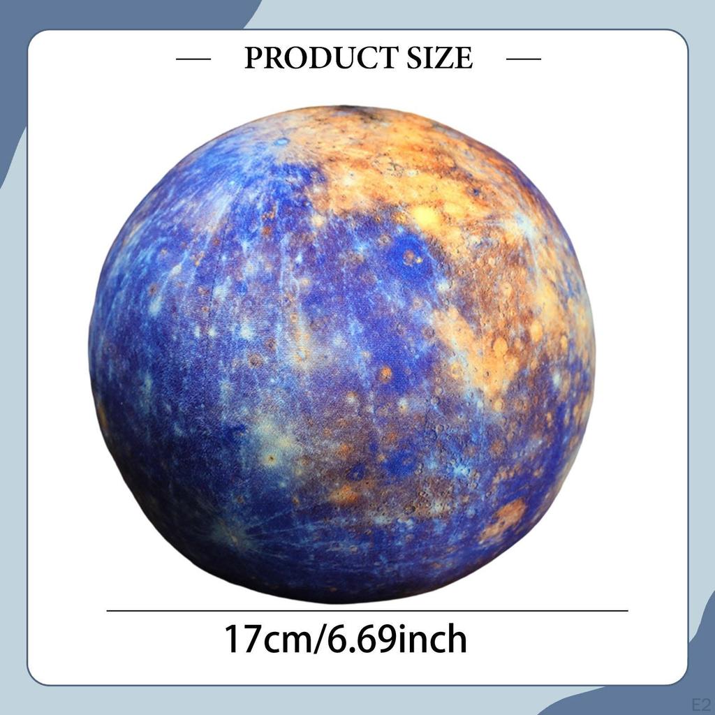 Simulation 3D Stuffed Model Learning Toy for Teacher Adults Sofa