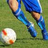 Youth Soccer Shin Guards Protective Shin Guards With Elastic Straps Calf Protective Gear Soft Ergonomic Soccer Equipment For 1