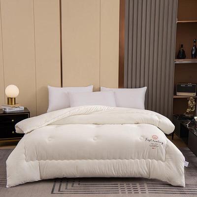 PAUI DAVID All-Season Antibacterial Duvet Insert