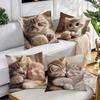1/4pcs Cute Kitten Pattern Pillowcases Sofa cushion cover home bedroom room decoration