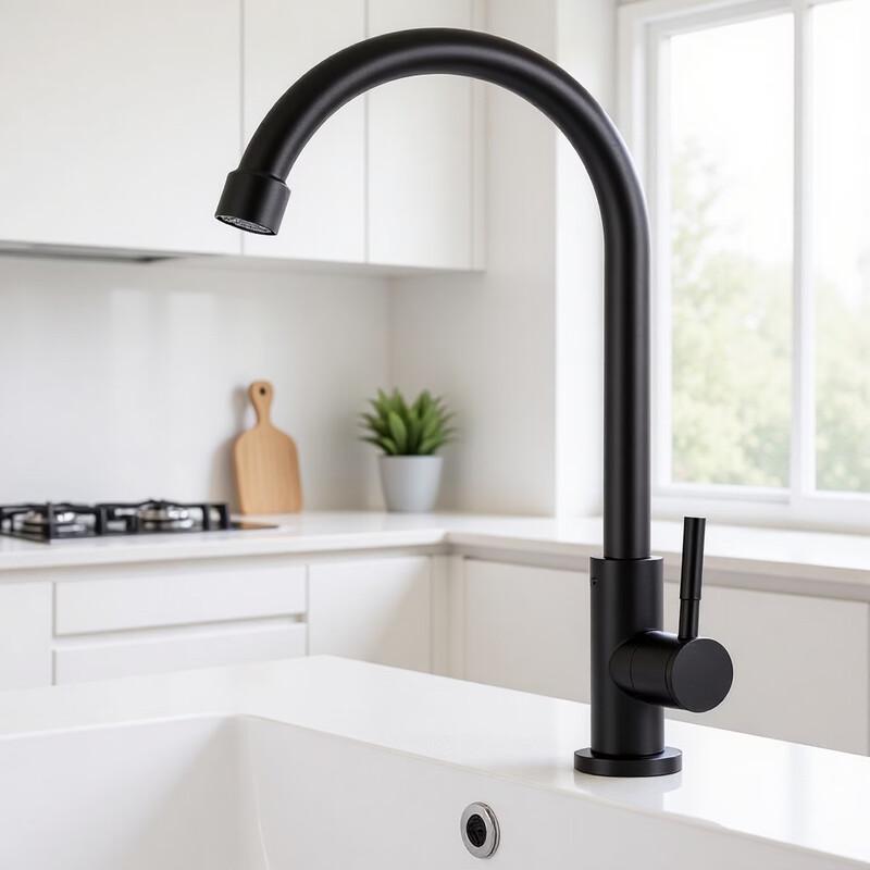 TLXT Black Single Cold Rotatable Kitchen Faucet