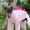 Haustierkleidung Hund Kleiner Greyhound Herbst Winter Polar Warm Rollkragenmantel Entzückendes Dinosaurierkostüm für Kleine Mittlere Große Hunde