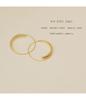 Women's Trendy Matte Hoop Earrings: Designer Retro Hong Kong Style with European, American, and Korean Minimalist Fashion.