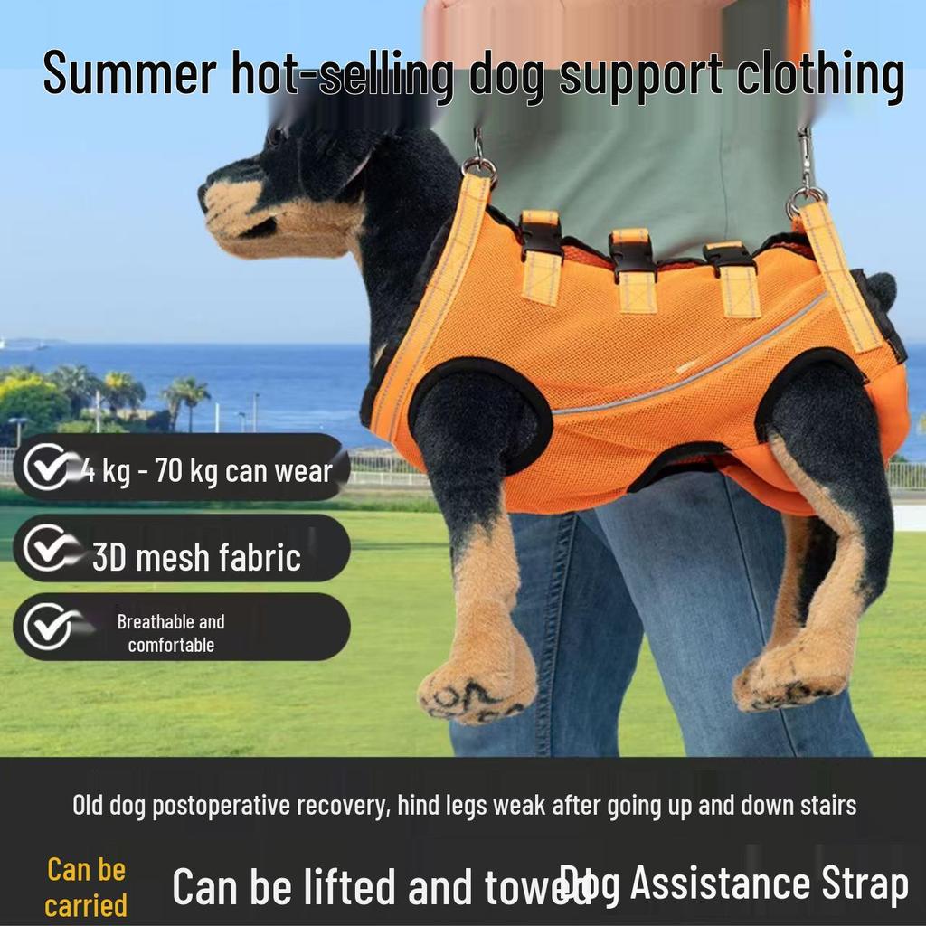 Pas wspierający tylną nogę starszego psa: Pomoc w poruszaniu się dla psów słabych lub kontuzjowanych