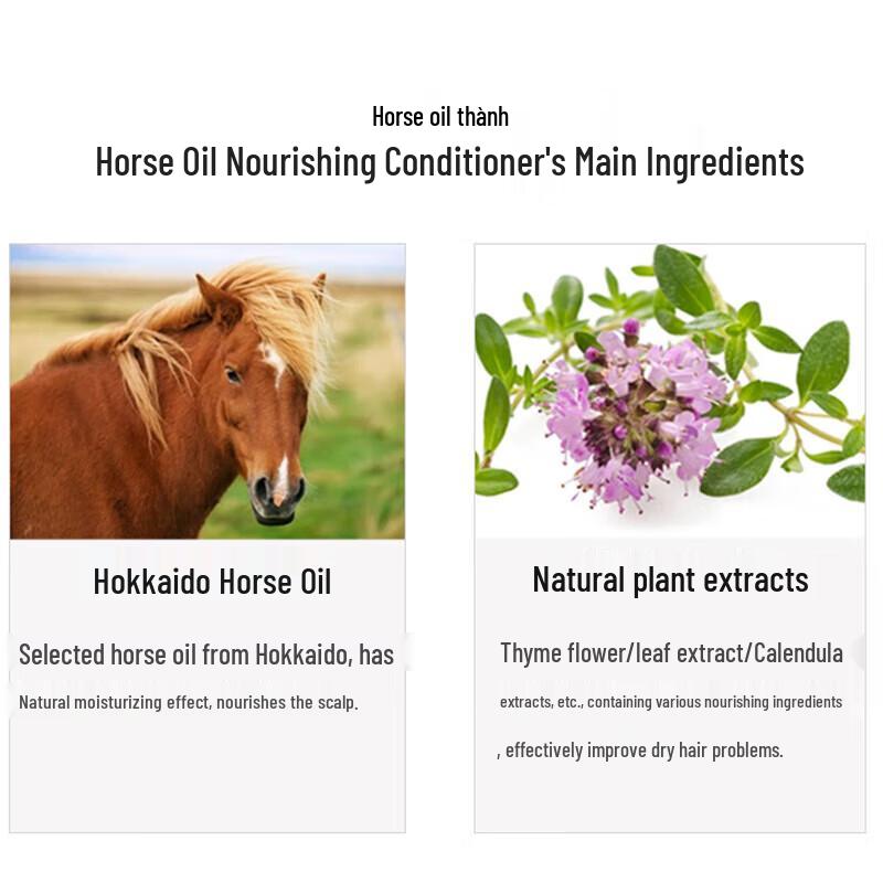 Dieyin Japan Horse Oil Nourishing Conditioner