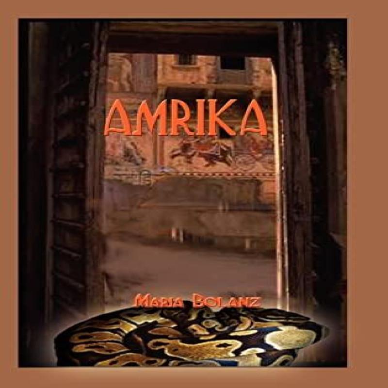 Amrika by Maria Bolanz Hardback Book 9780759645530