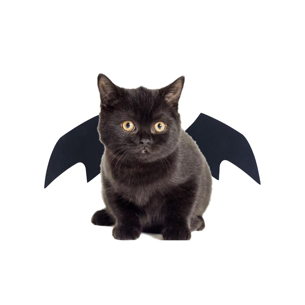 Pet Clothing Cat Halloween Costume Apparel for Cat Puppy Pet Accessories Dog Dress Up Bat Wings Dog Costumes Pet Supplies
