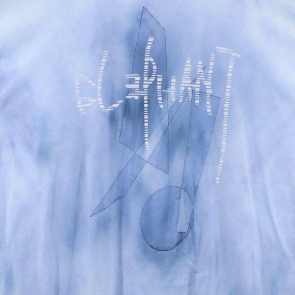 unused VAST222 18ss made in Japan ELEPHANT Short sleeve T-shirt Elephant Men's Used