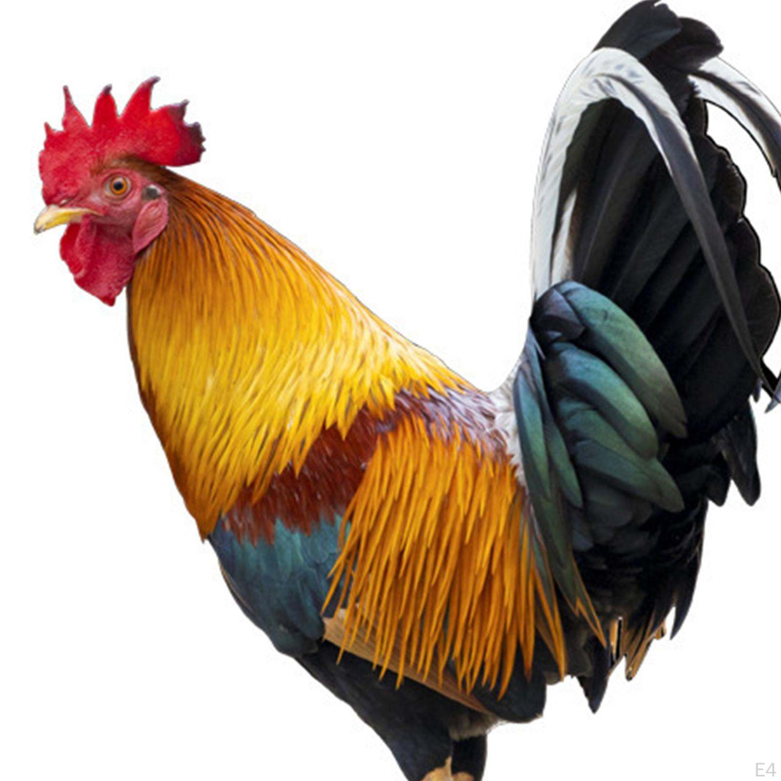 Колья статуи куриного животного — фото 5