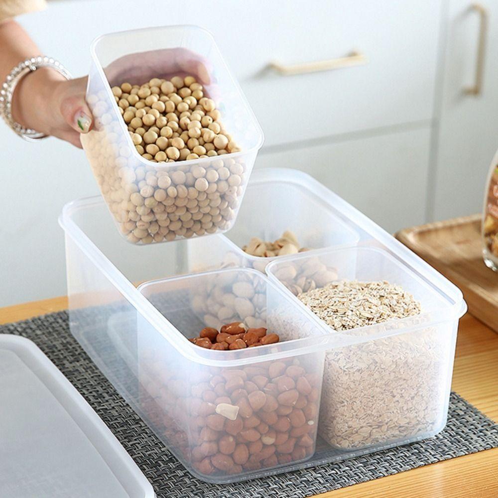 

Four Grid Design Frozen Meat Preservation Box Large Capacity Food Fresh Box Small